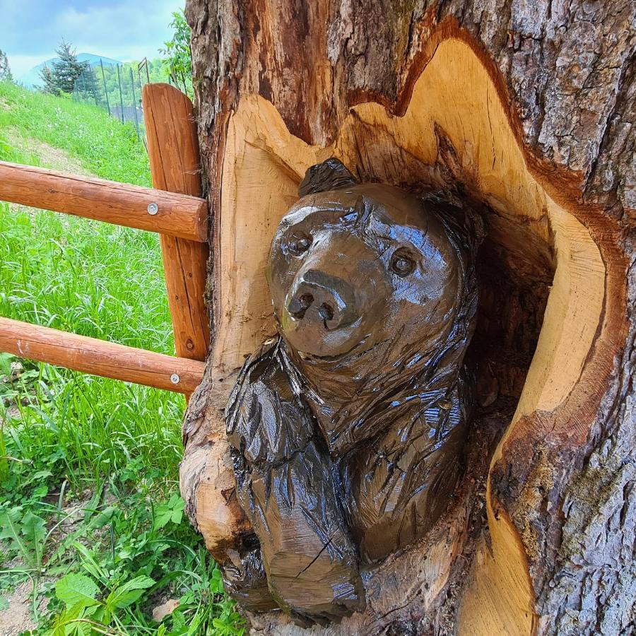 Penzion Duhovy Pstruh Быстра Экстерьер фото